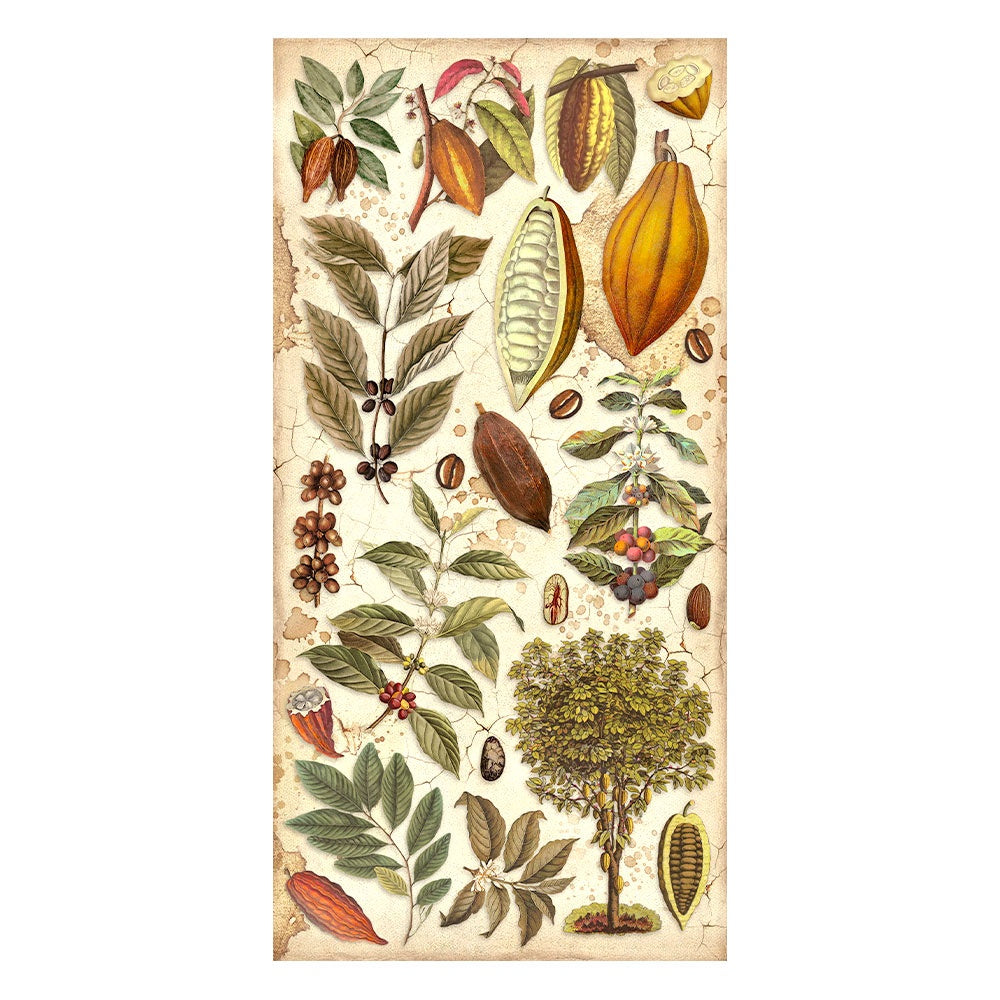 Coffee & Chocolate Stamperia Collectables 6"X12" 10/Pkg