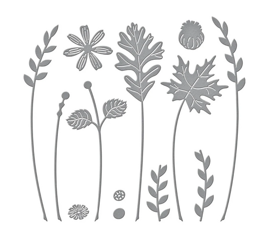 Autumn Sealed Sprigs Etched Dies