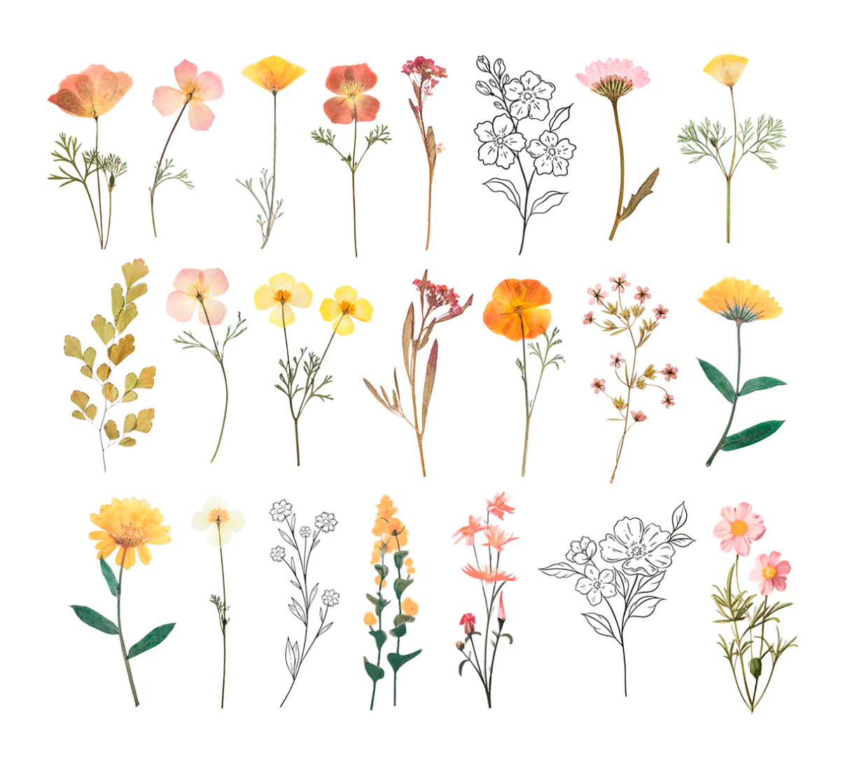 Rosie's Studio Golden Afternoon Floral Stickers