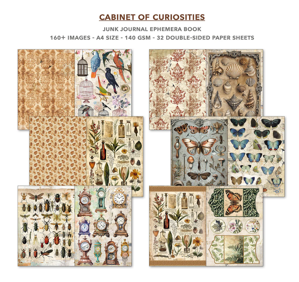 Cabinet Of Curiosities Junk Journal & Ephemera Book