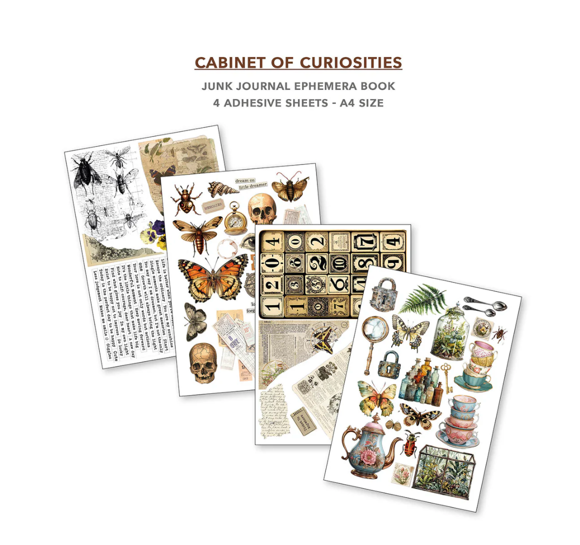 Cabinet Of Curiosities Junk Journal & Ephemera Book