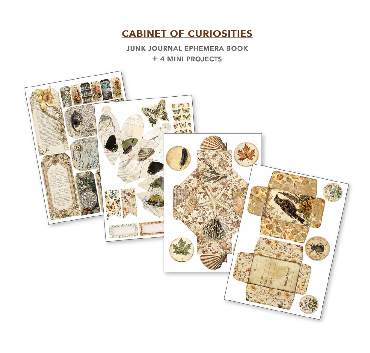 Cabinet Of Curiosities Junk Journal & Ephemera Book