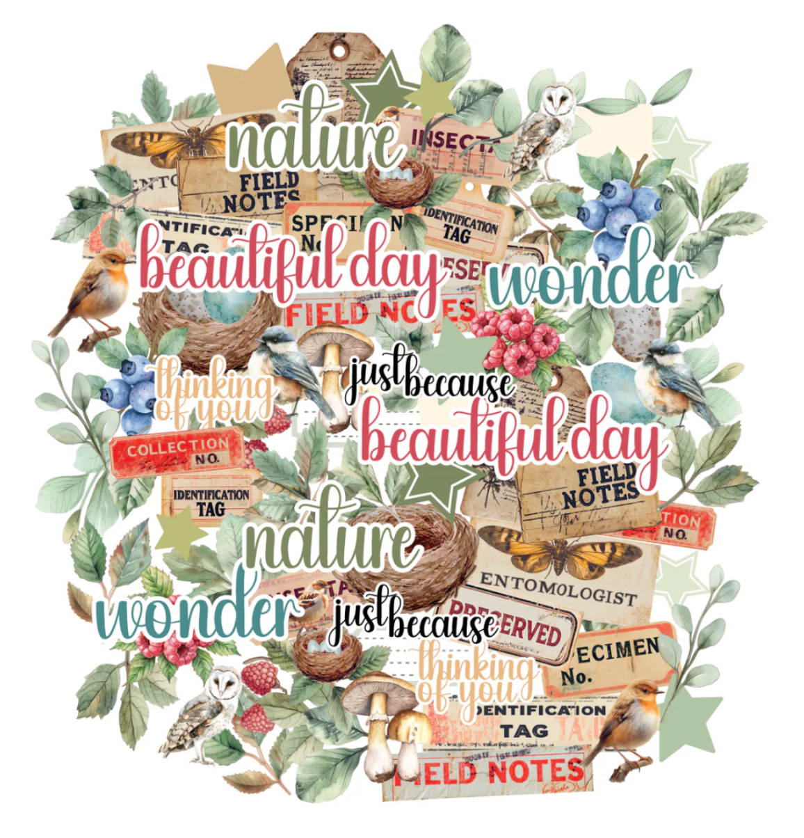 Uniquely Creative Botanical Chronicles Creative Cuts