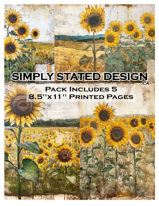 Simply Stated Designs 8.5" x 11" Paper Packs