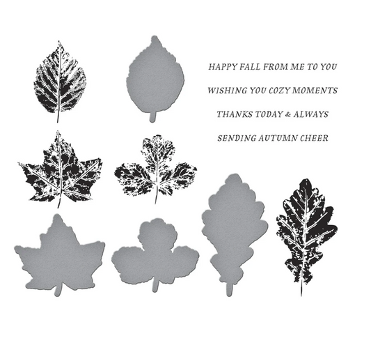 Autumn Cheer Press Plate & Die Set - September 2025 BPS