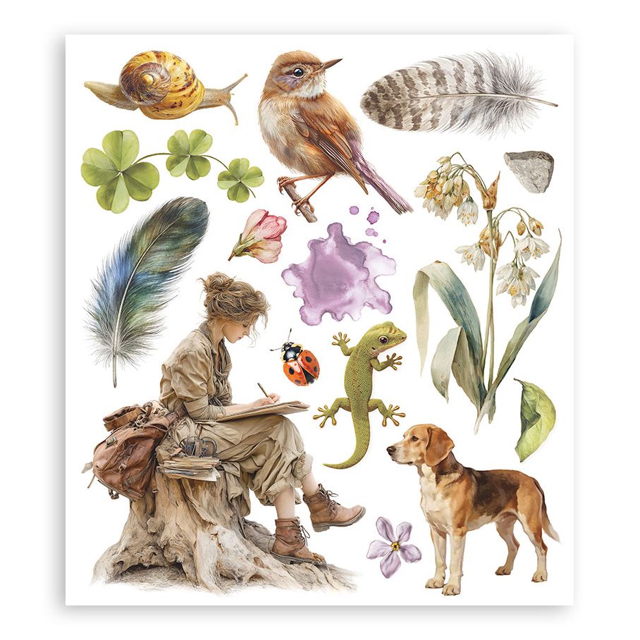 Illustration of a person sitting with a dog, surrounded by nature elements like plants, animals, and feathers on a white background.
