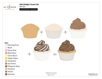 Layering guide for cupcakes with different icing flavors on a white background