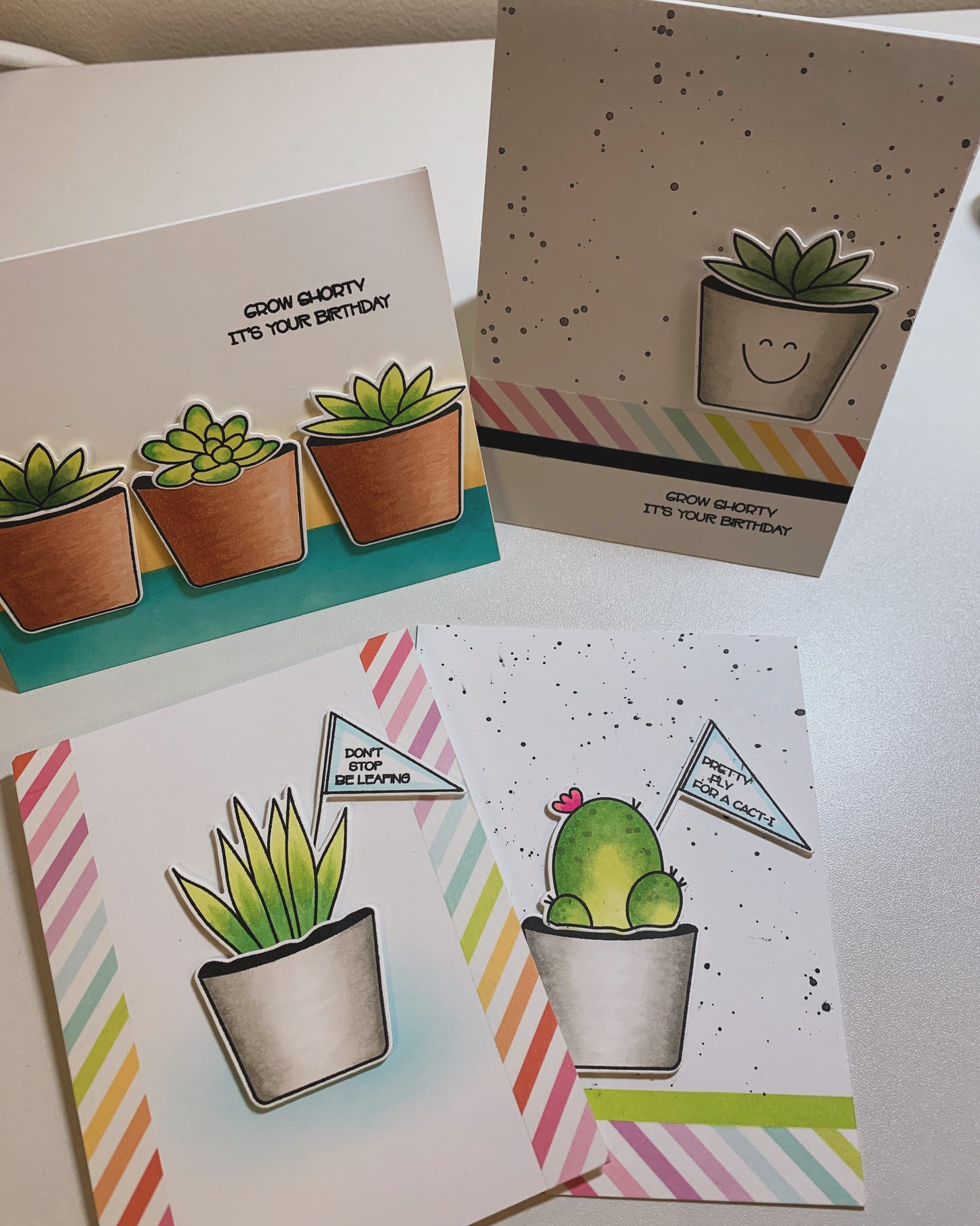 Avery Elle Succa for You Bundle