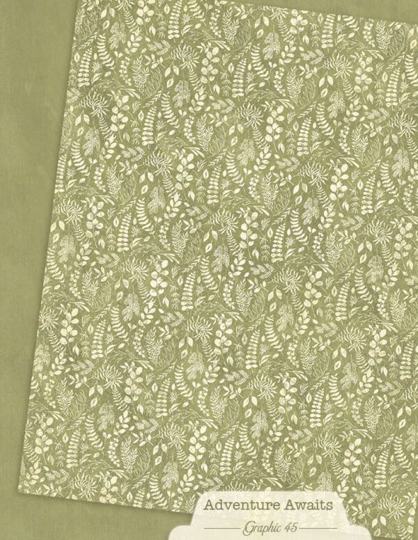 Patterned paper with fern 
leaf design and 'Adventure Awaits' text on a matching background