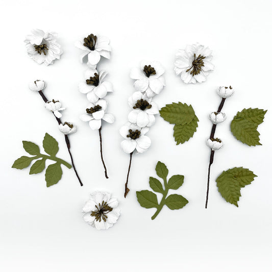 White flowers and green leaves on a white background
