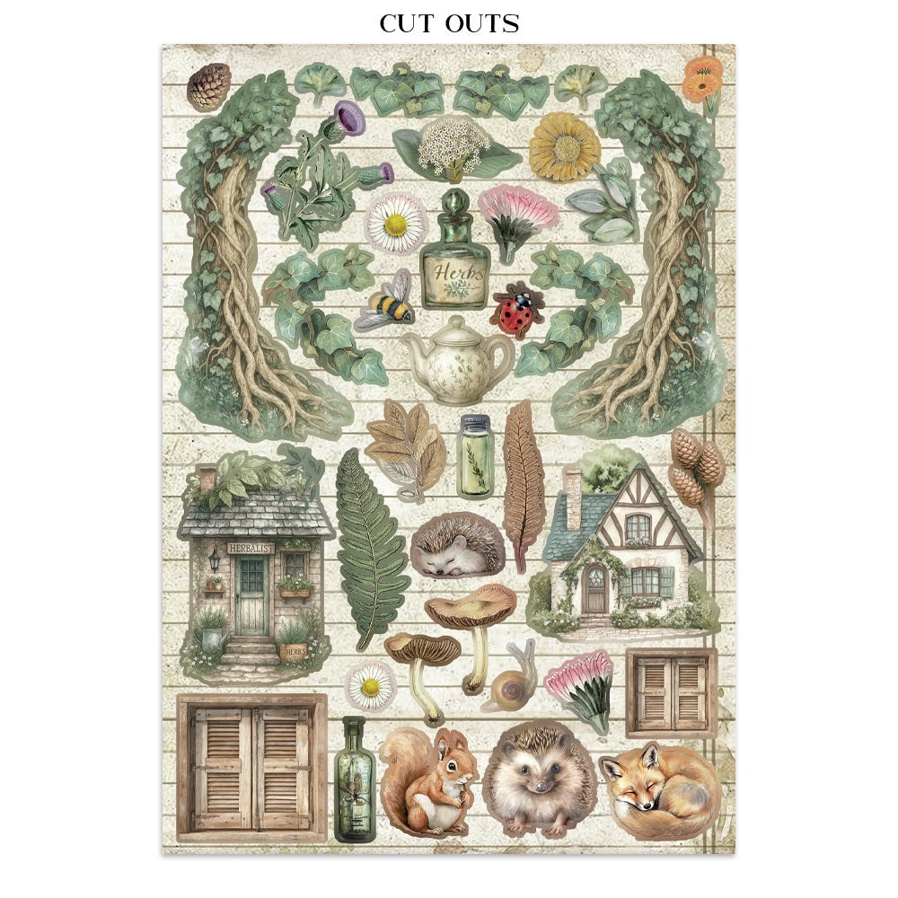 Stamperia Junk Journal - Herbarium Silvae