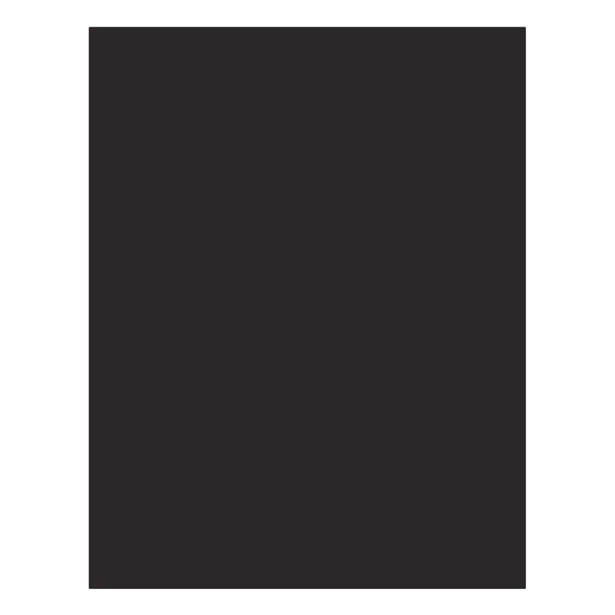 A solid black rectangular color swatch centered on a white background.