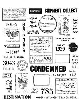 Tim Holtz The Field Notes Stamp Set