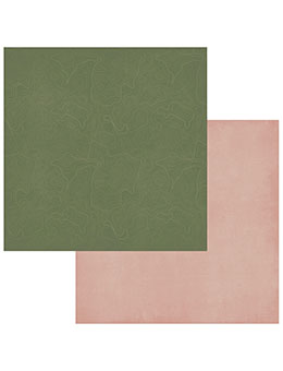 49 and Market Campfire Memories 12x12 Solids Pack