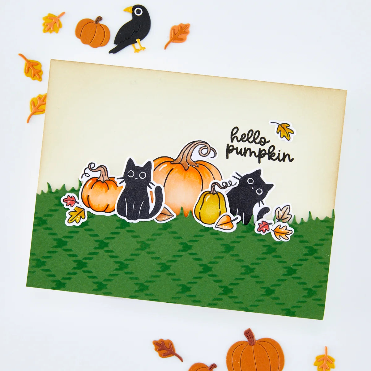 Hero Arts Hide and Peek Stamp & Cut