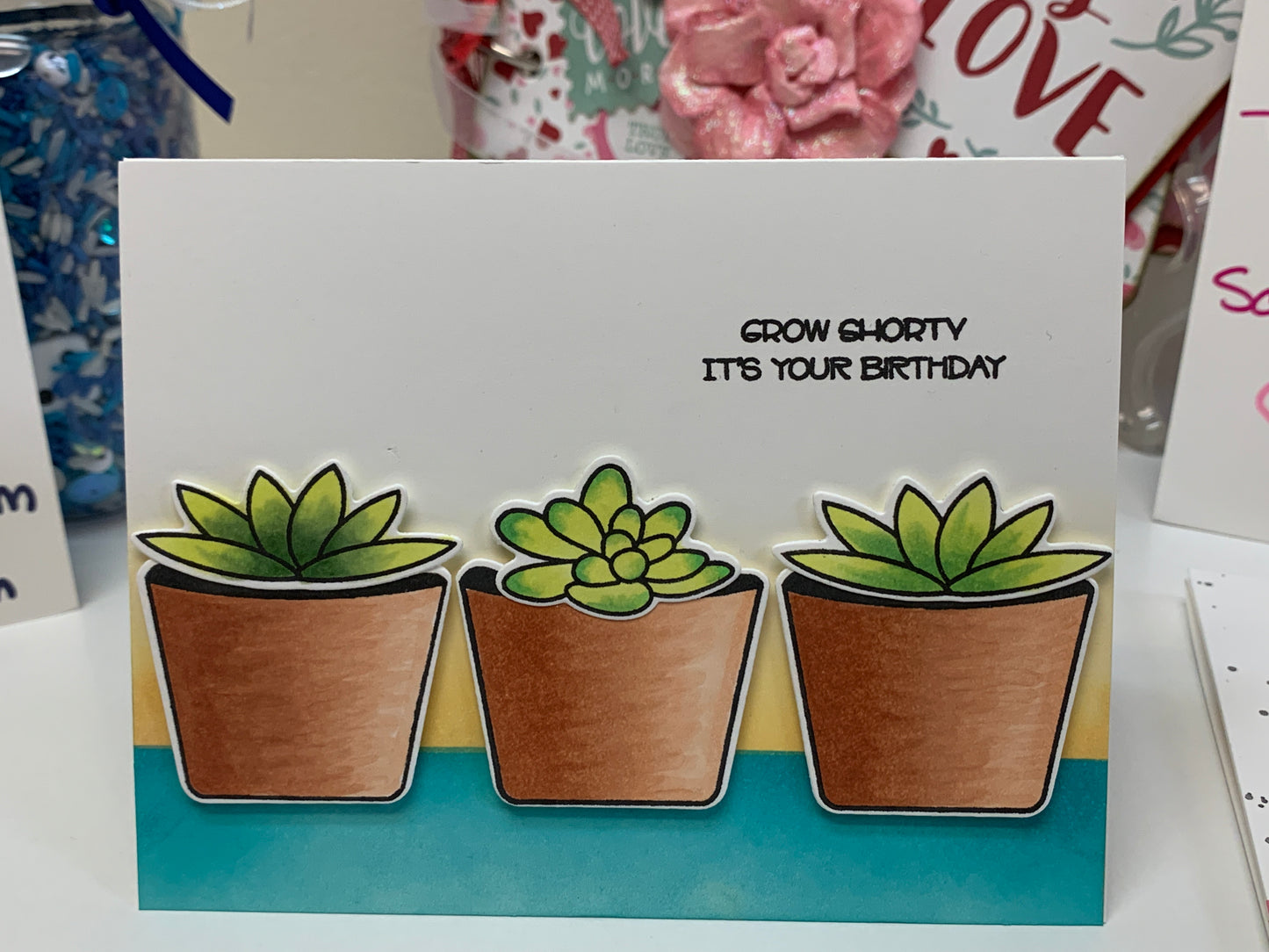 Avery Elle Succa for You Bundle