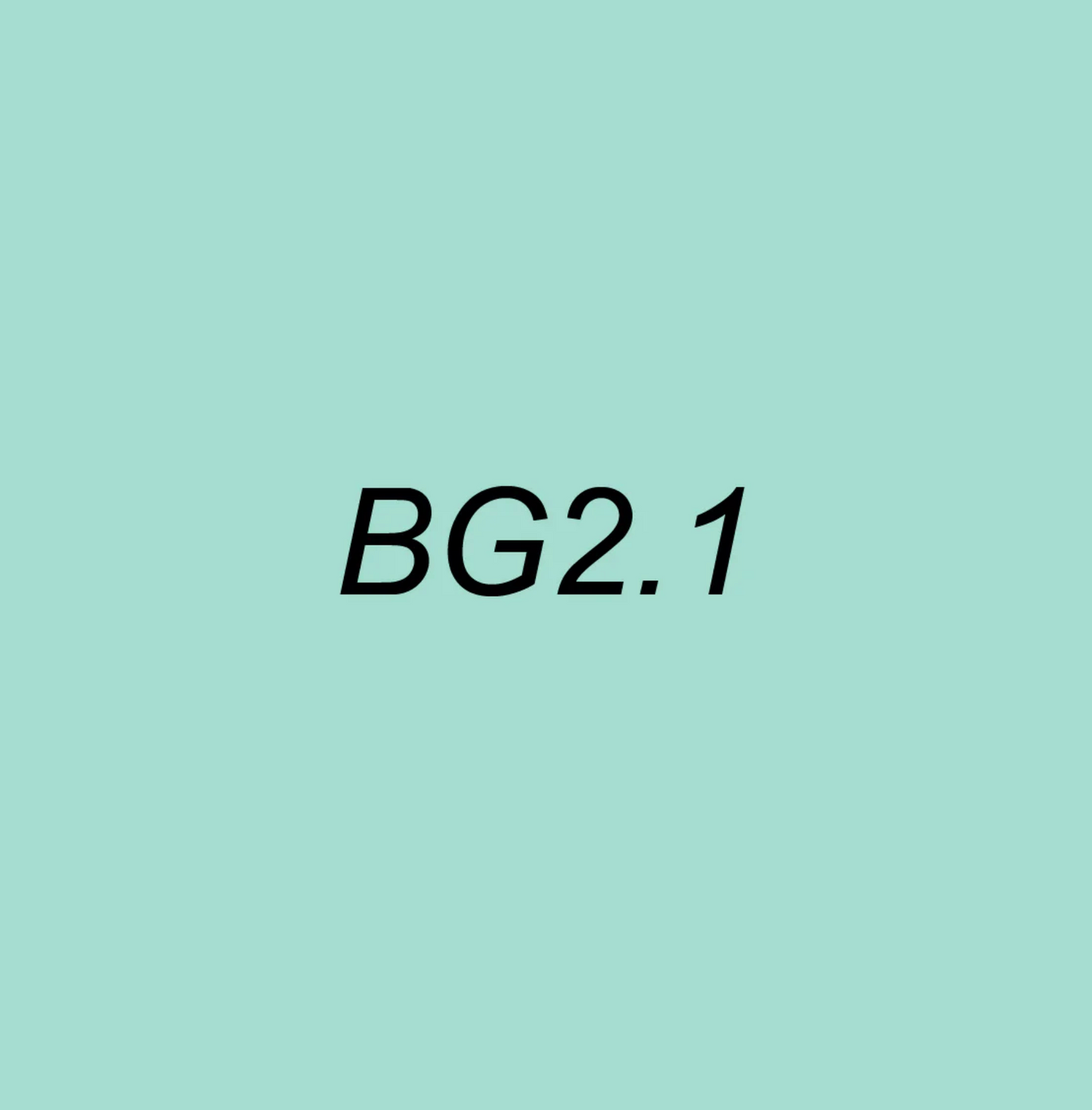 Text 'BG2.1' on a light blue background