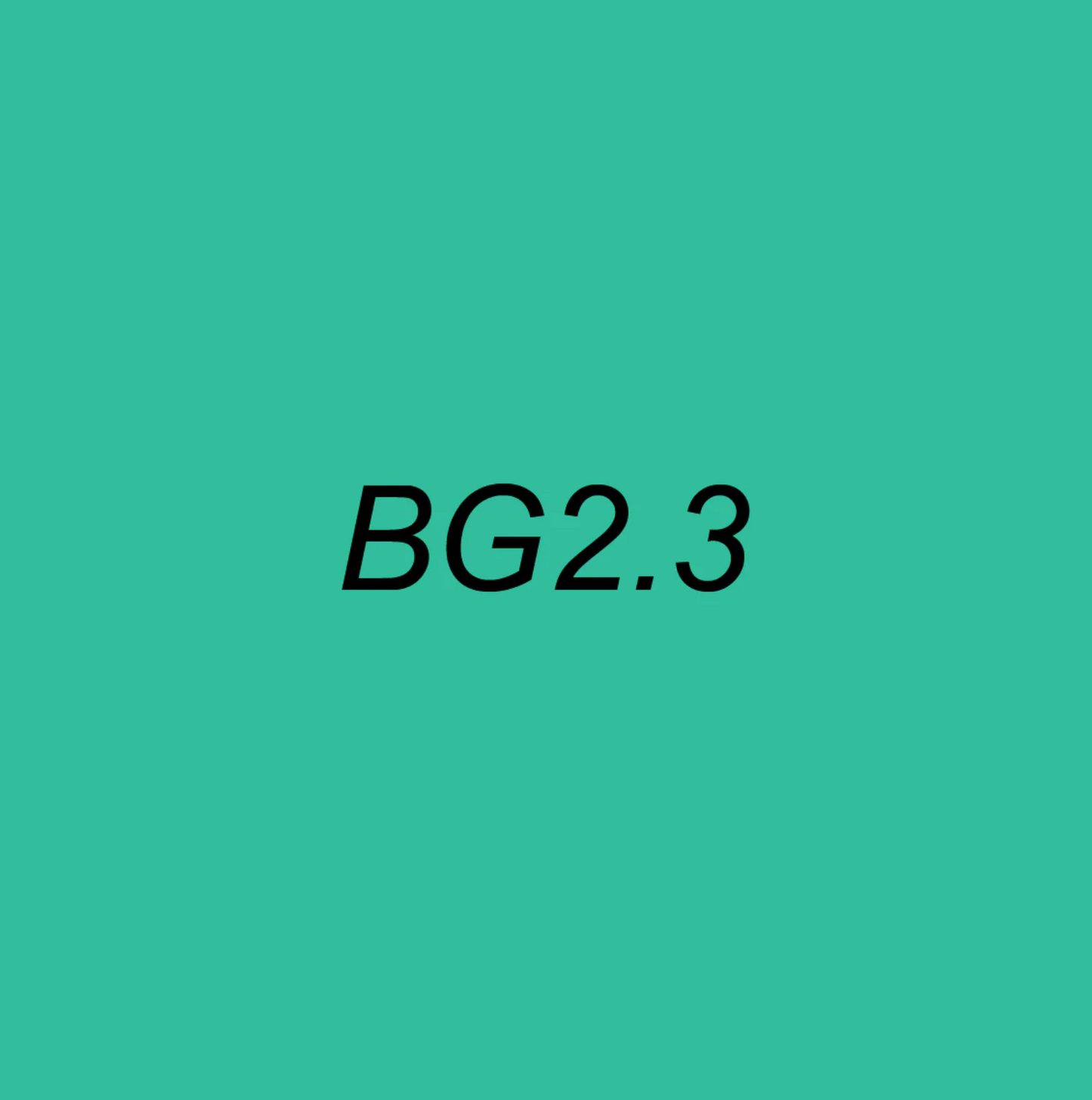 Text 'BG2.3' on a solid green background