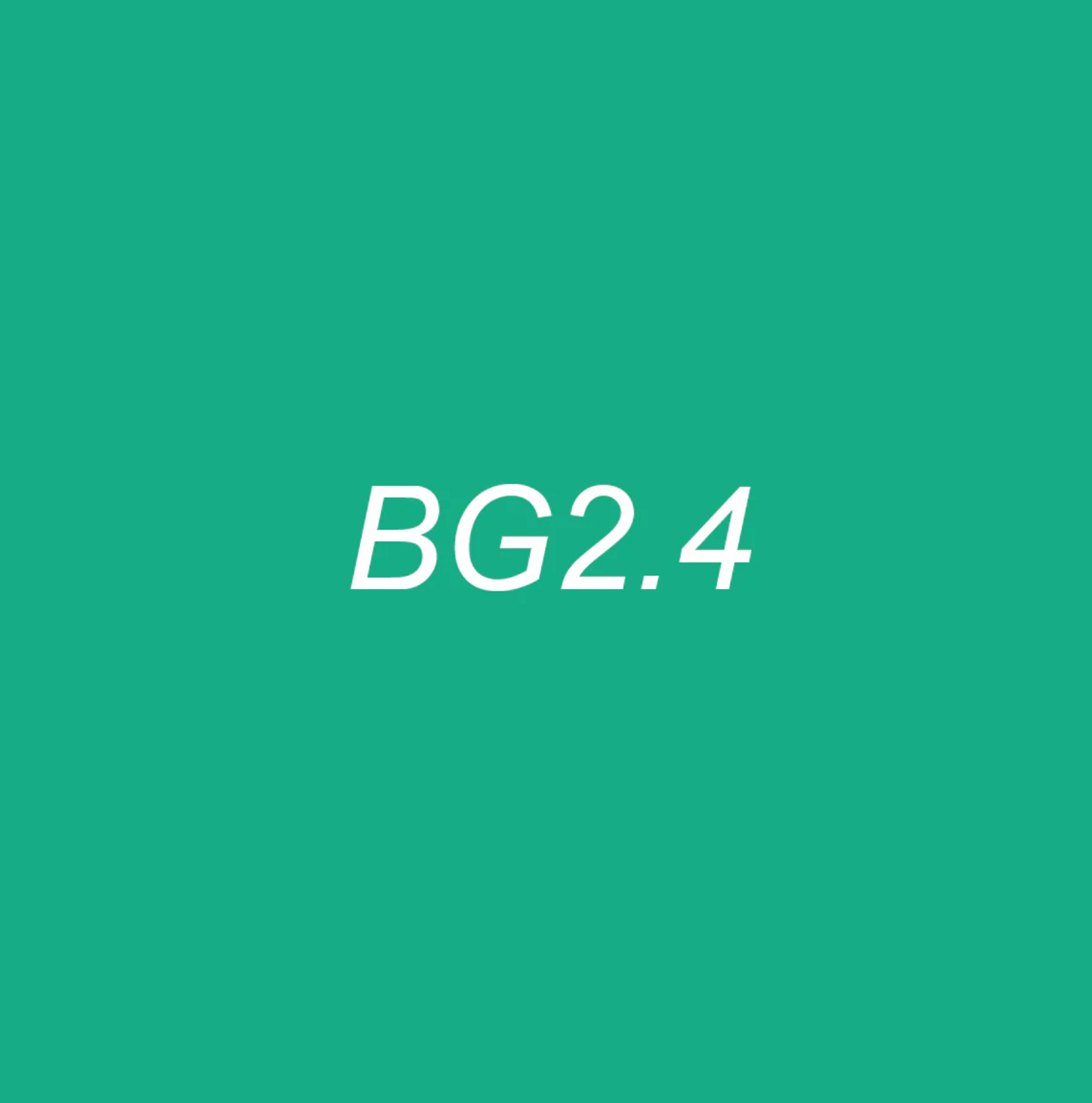Green background with 'BG2.4' text
