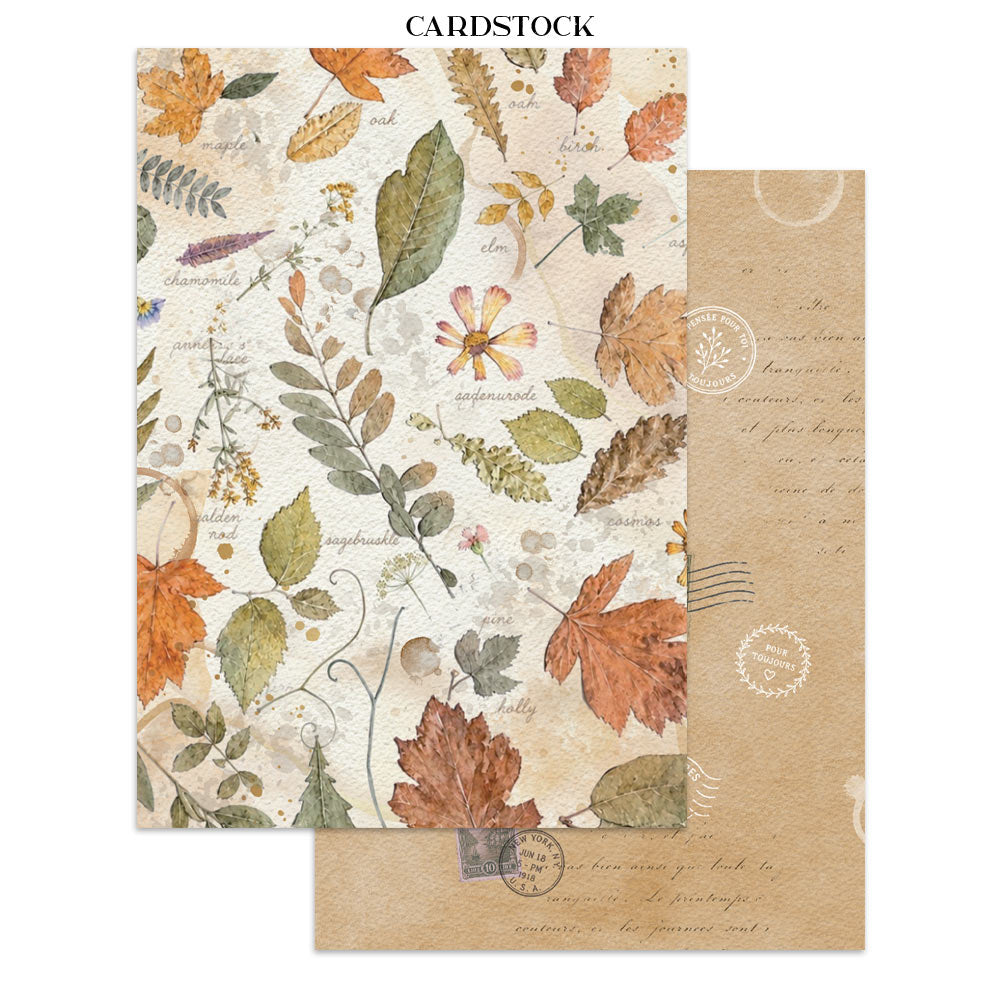 Stamperia Junk Journal Focus Points Flowers and Poems
