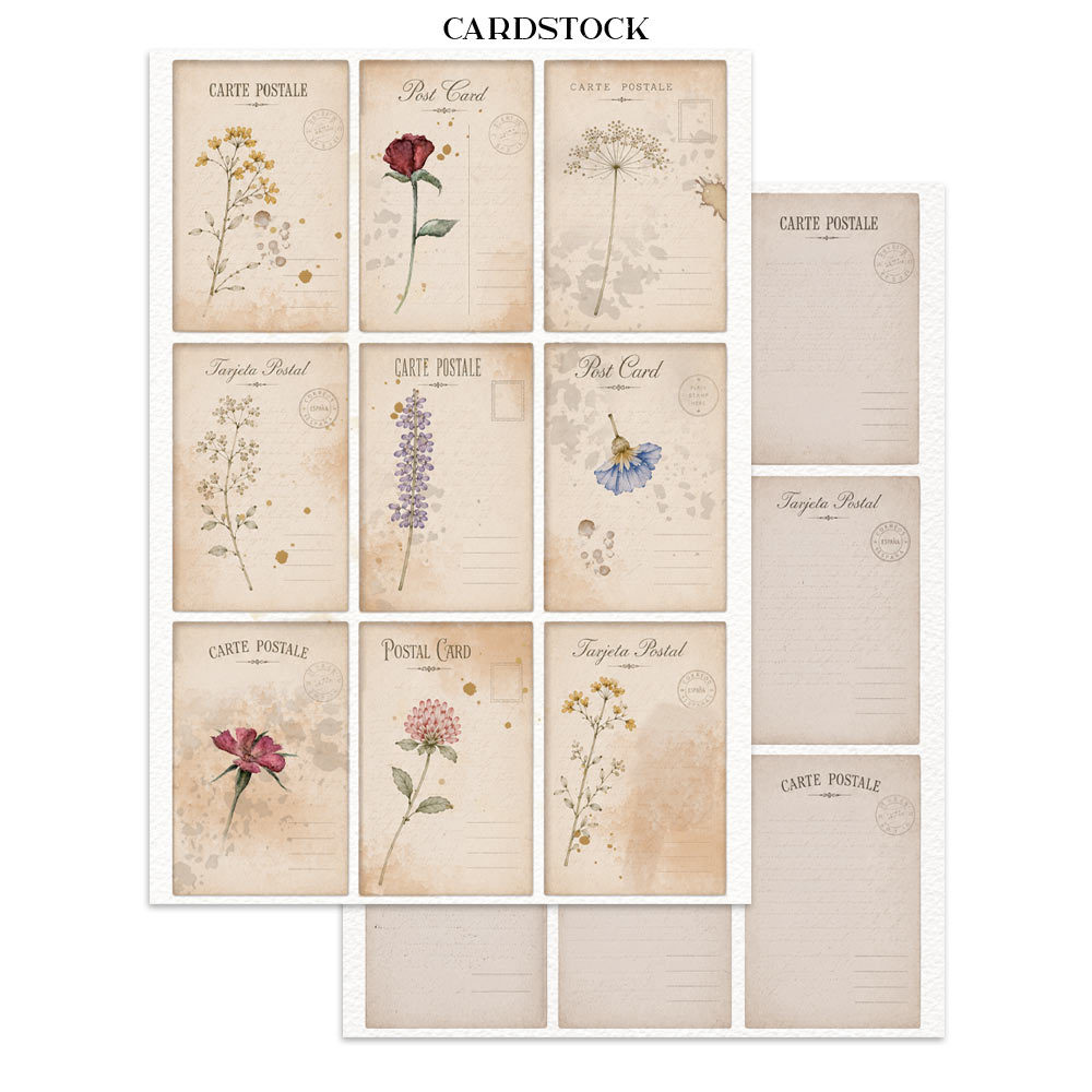 Stamperia Junk Journal Focus Points Flowers and Poems