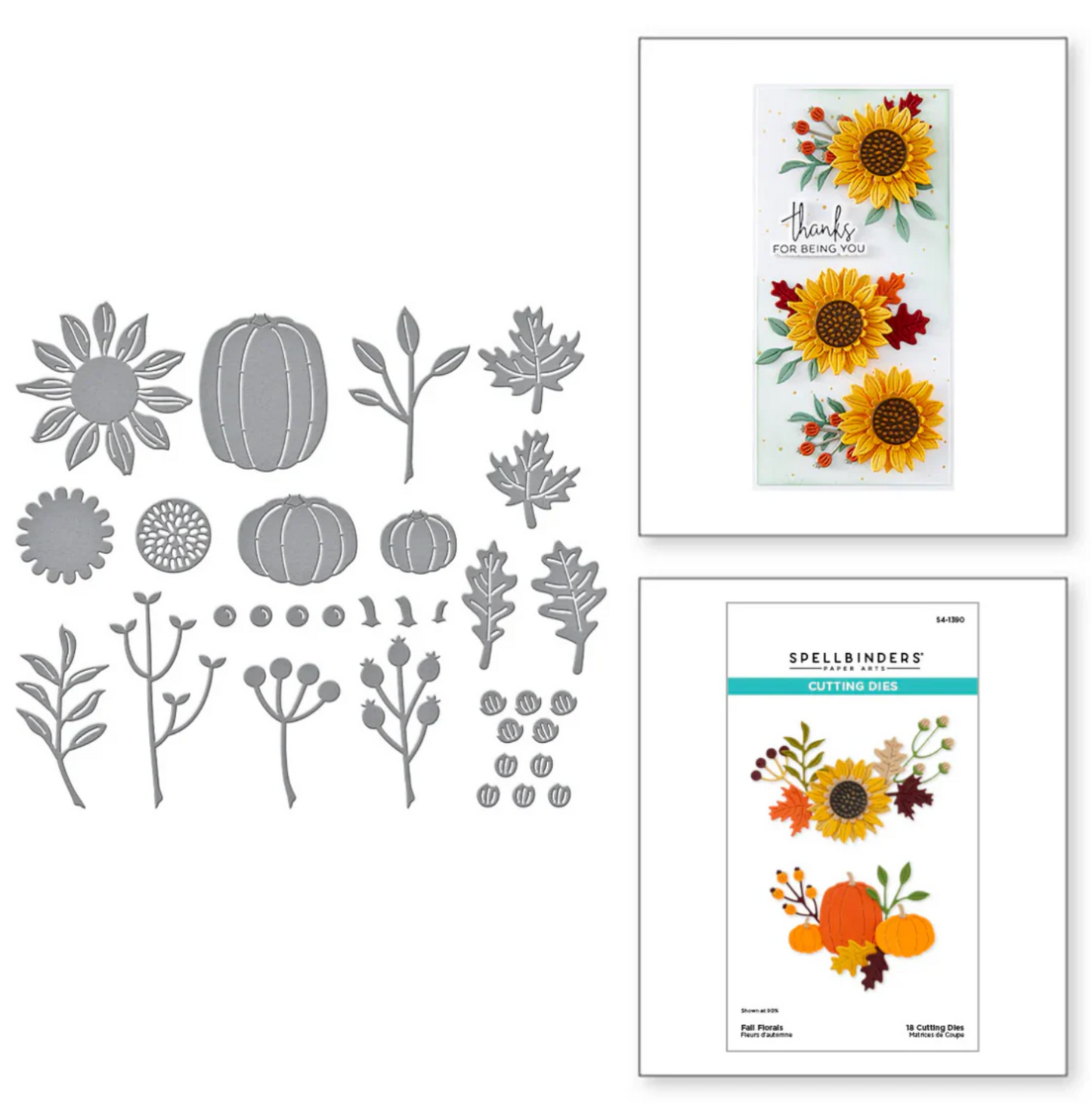 Spellbinders Fall floral Die Set