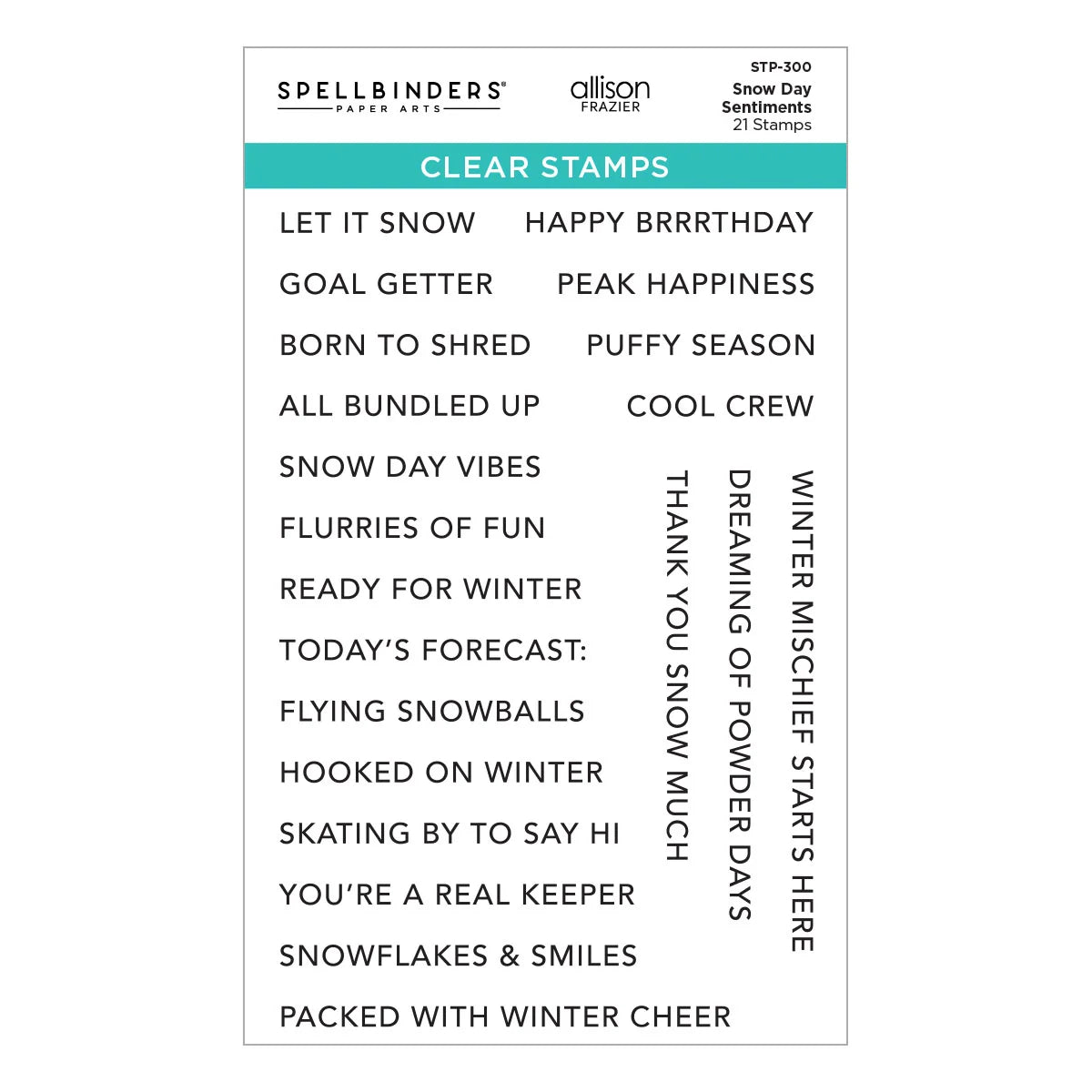 Spellbinders Winter Vacation I Want It All! Bundle