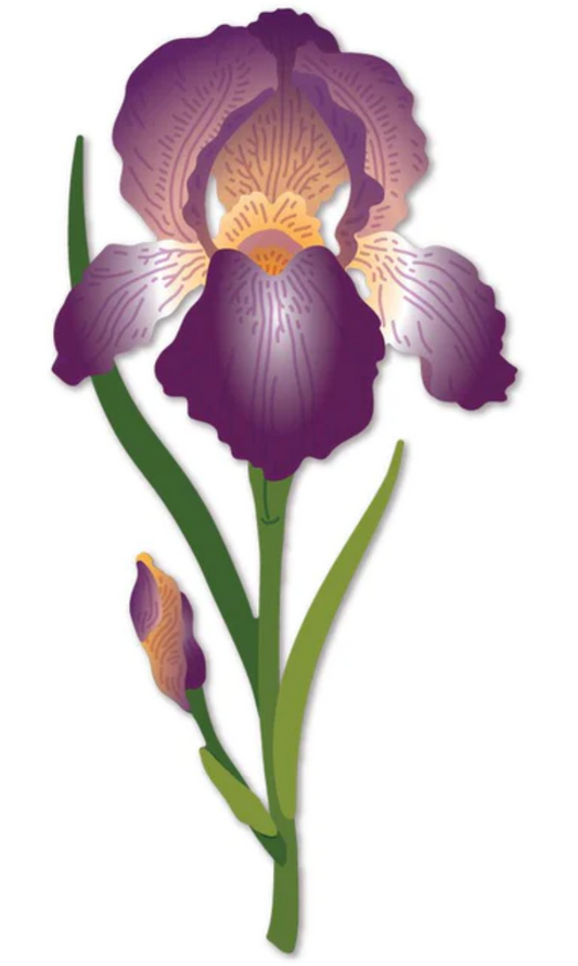 Lovely Layers: Iris