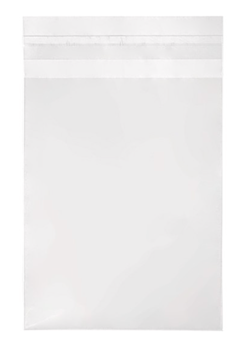 Crystal Clear Bags® with Flap 4 5/8" x 5 3/4" 100 pack B54