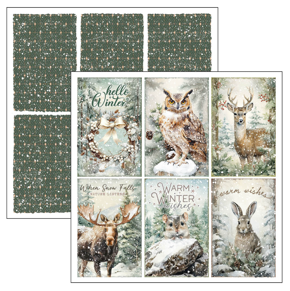 Ciao Bella Forest Tales Paper Pad 12"x12" 12/Pkg