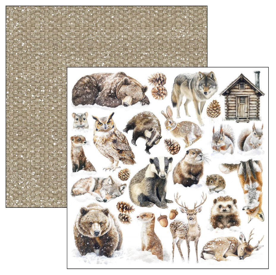 Ciao Bella Forest Tales Patterns Pad 12"x12" 8/Pkg
