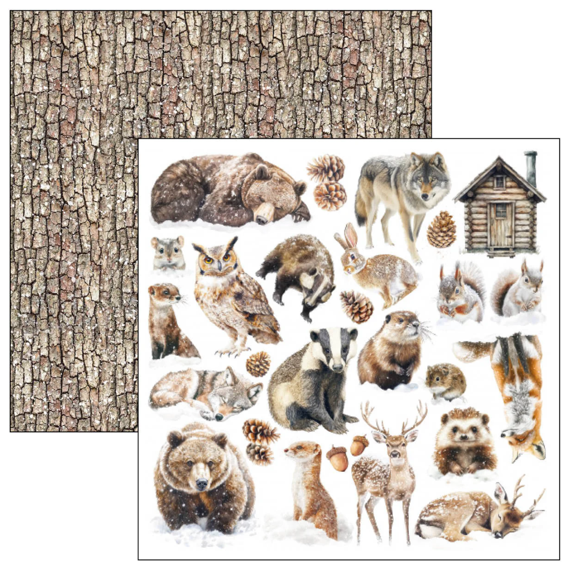 Ciao Bella   Forest Tales Pad 8"x8" 12/Pkg