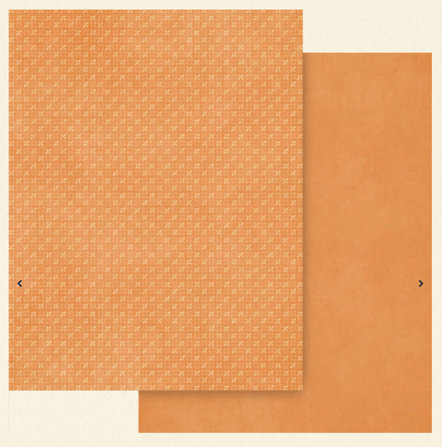 Graphic 45 Scenic Route 8.5 x 11 Patterns & Solids Pack