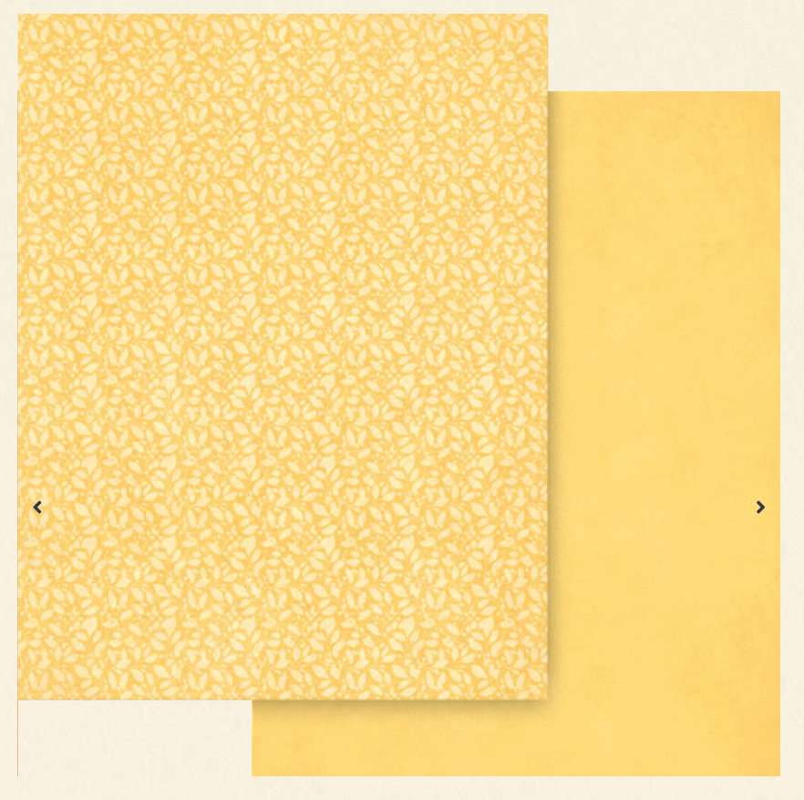 Graphic 45 Scenic Route 8.5 x 11 Patterns & Solids Pack
