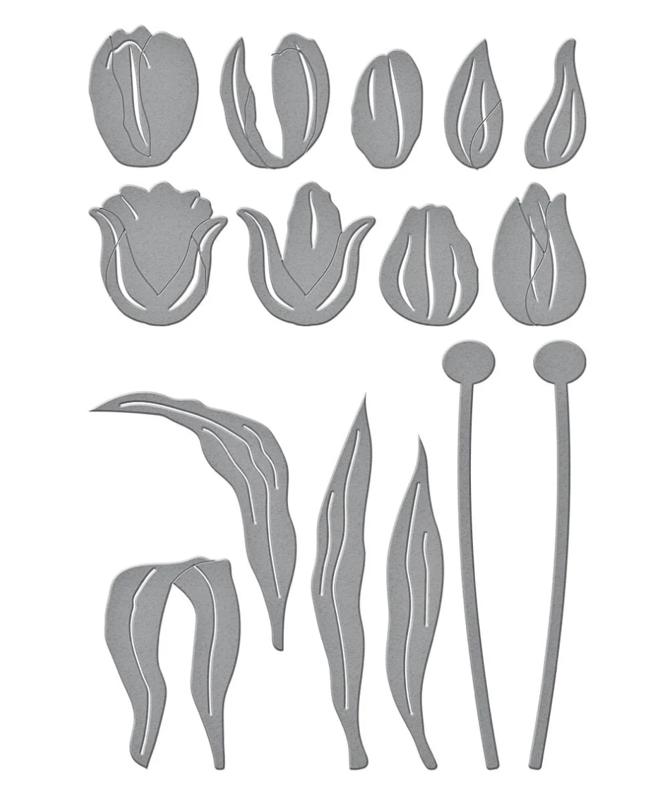 Spellbinders Tulip Trio Etched Dies from the Tulip Garden