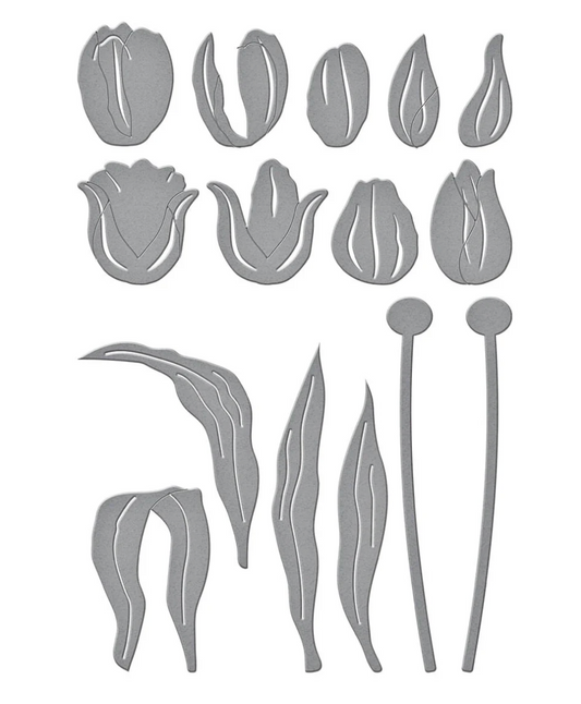 Spellbinders Tulip Trio Etched Dies from the Tulip Garden