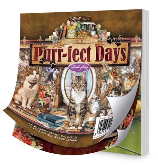 The Little Square Book of Purr-fest Days