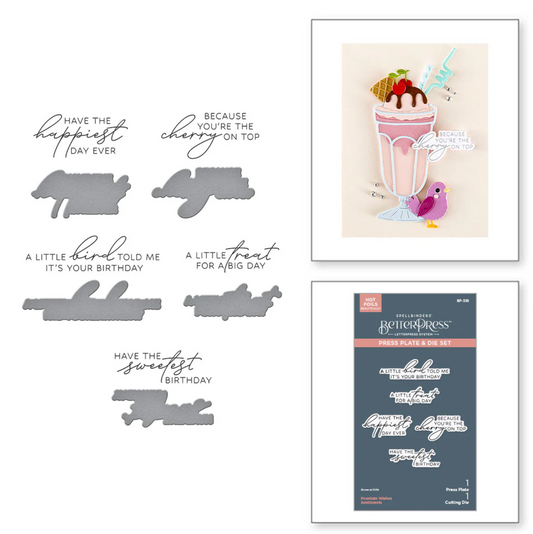 Spellbinders Fountain Wishes Sentiments BetterPress Plate & Die Set