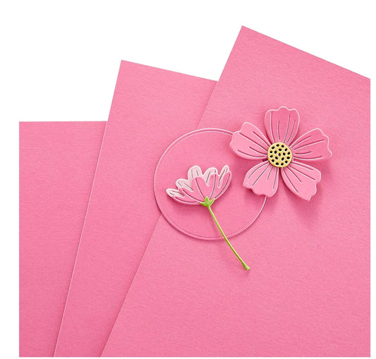 Spellbinders Fruit Punch Color Essentials Cardstock