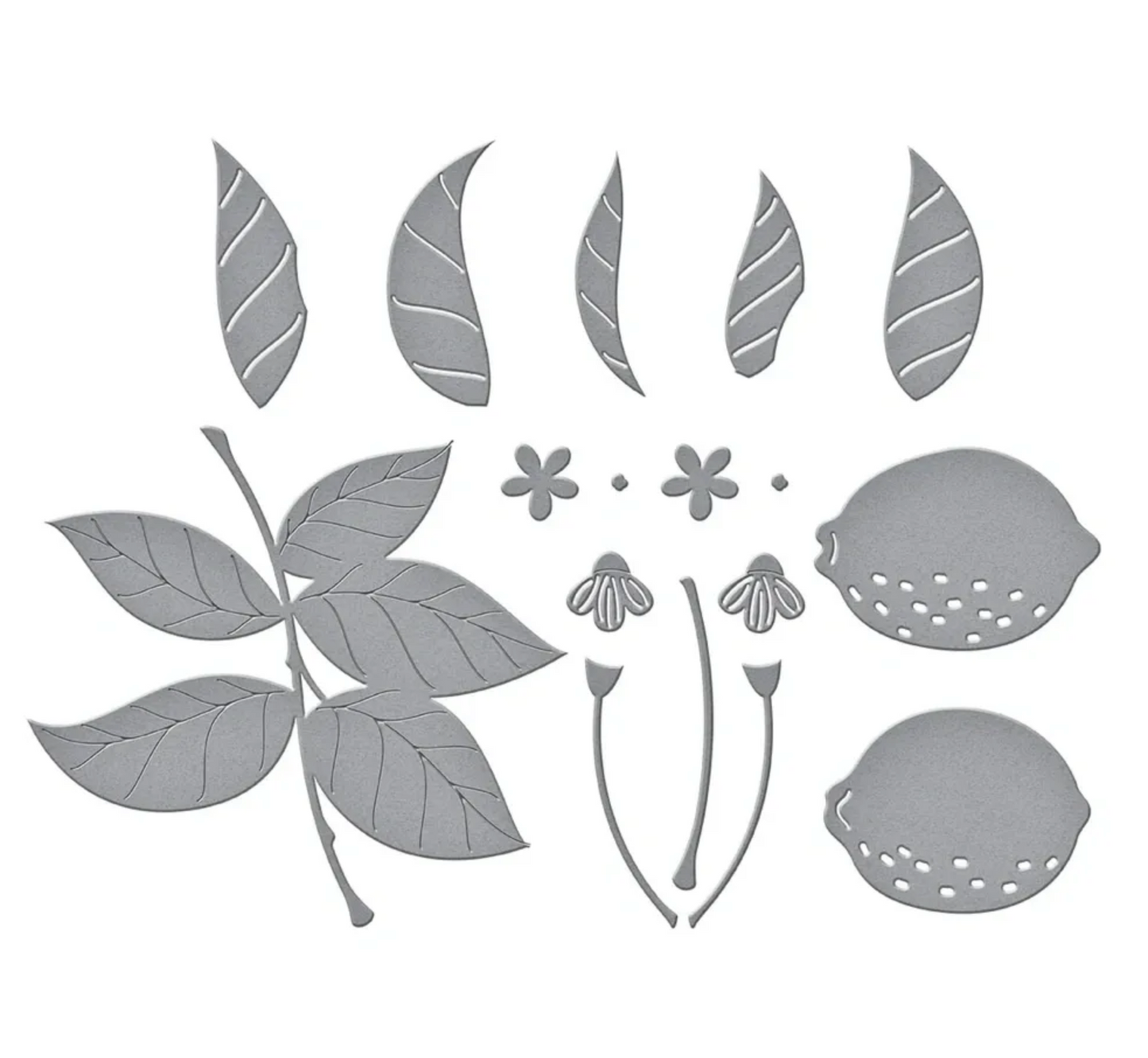 Set of metal die-cutting shapes of leaves and flowers on a white background
