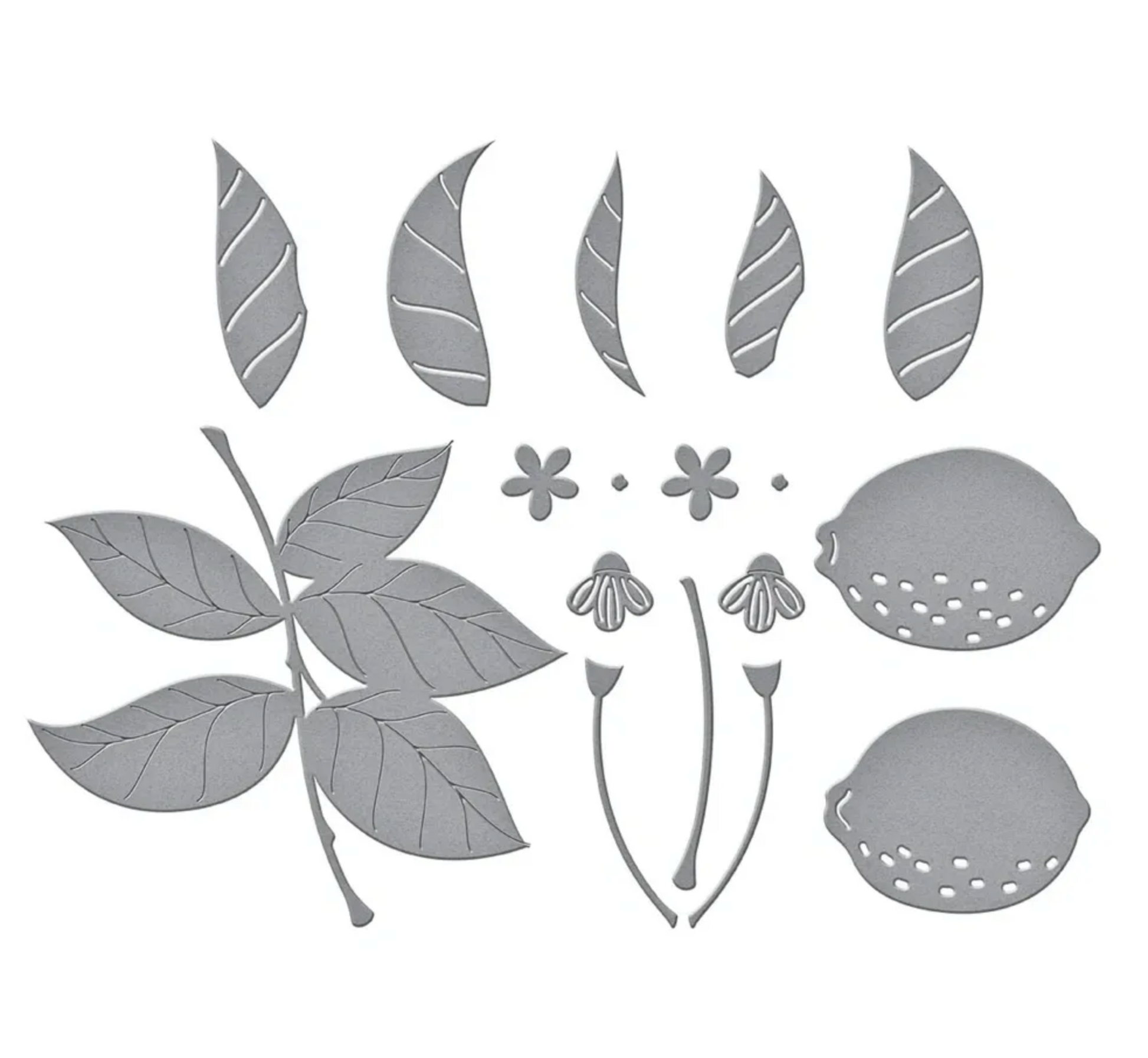 Set of metal die-cutting shapes of leaves and flowers on a white background