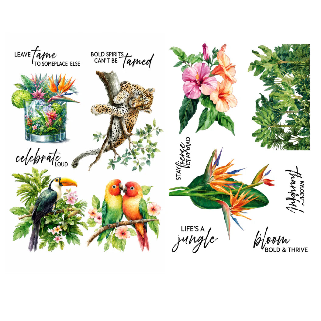 Collection of tropical-themed illustration rub ons with animals and plants on a white background.