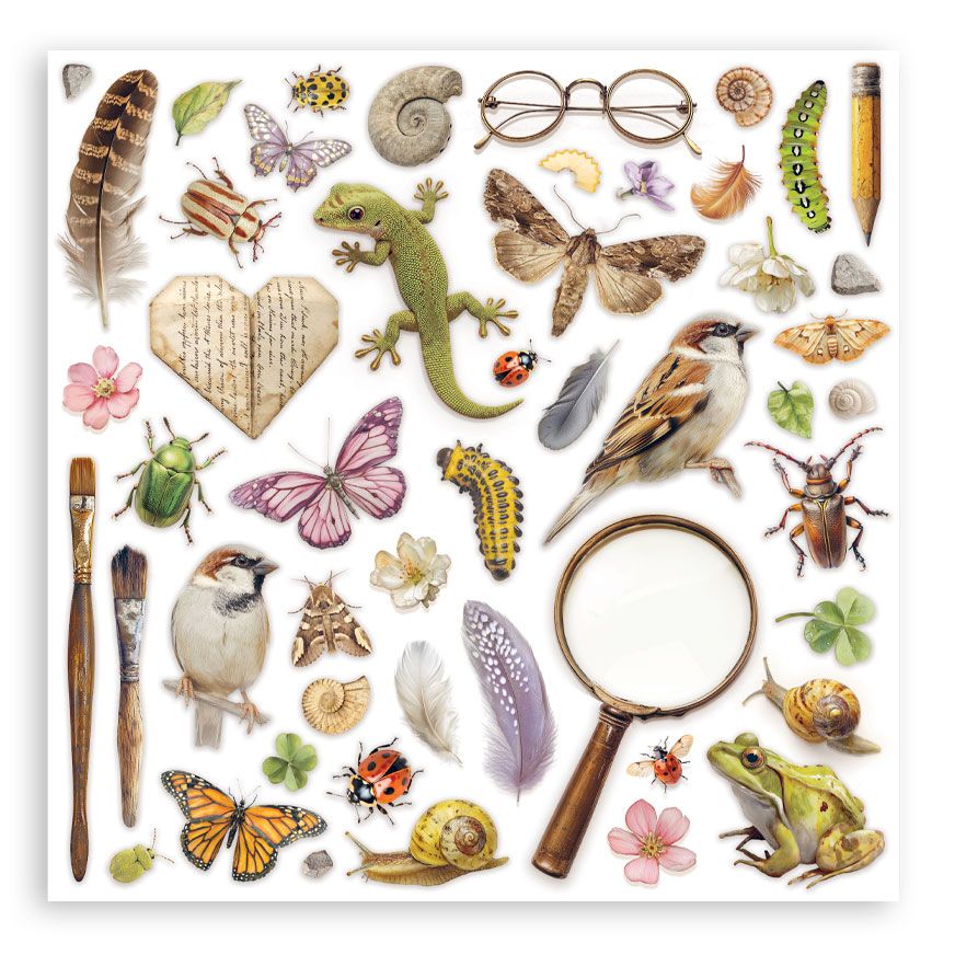 Collection of nature-themed illustrations including animals, insects, and objects on a white background.