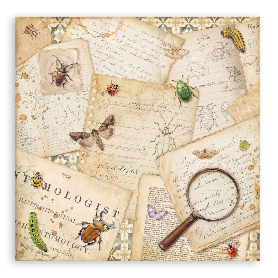 Decorative paper with vintage text, insects, and a magnifying glass on a white background