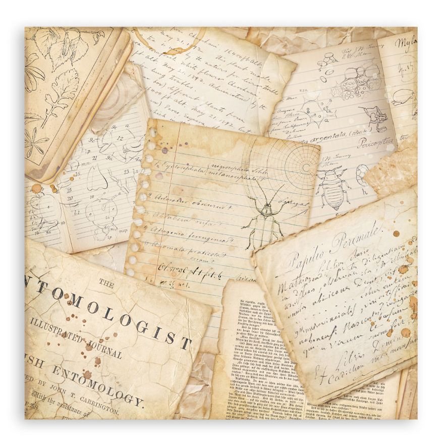 Collage of vintage papers with text and illustrations on a white background