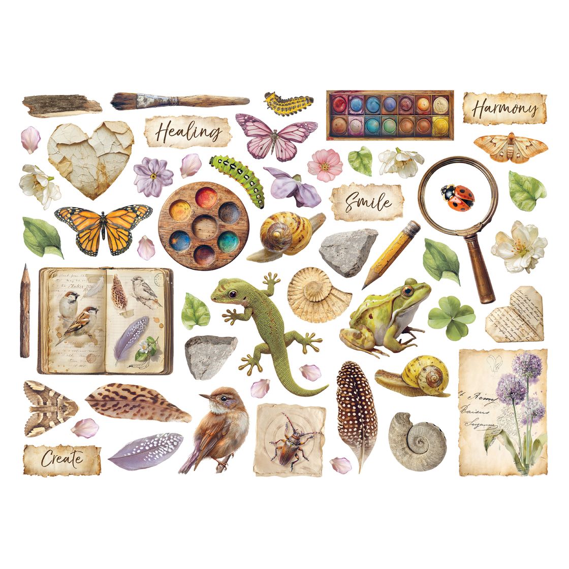 Collection of nature-themed items including butterflies, flowers, animals, and tools on a white background.
