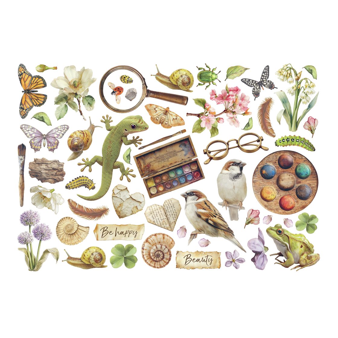 Collage of nature-themed illustrations including animals, plants, and objects on a white background.