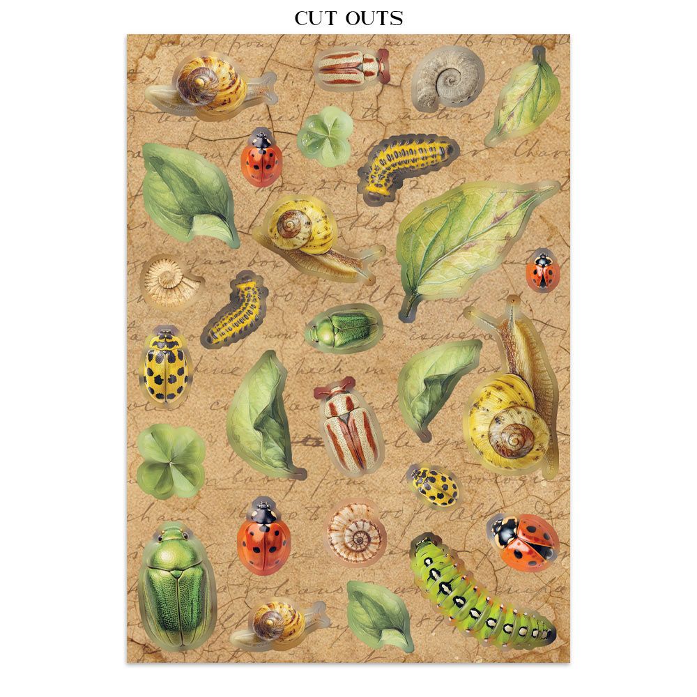 Illustrations of insects and leaves on a textured background with 'Cut Outs' text at the top.