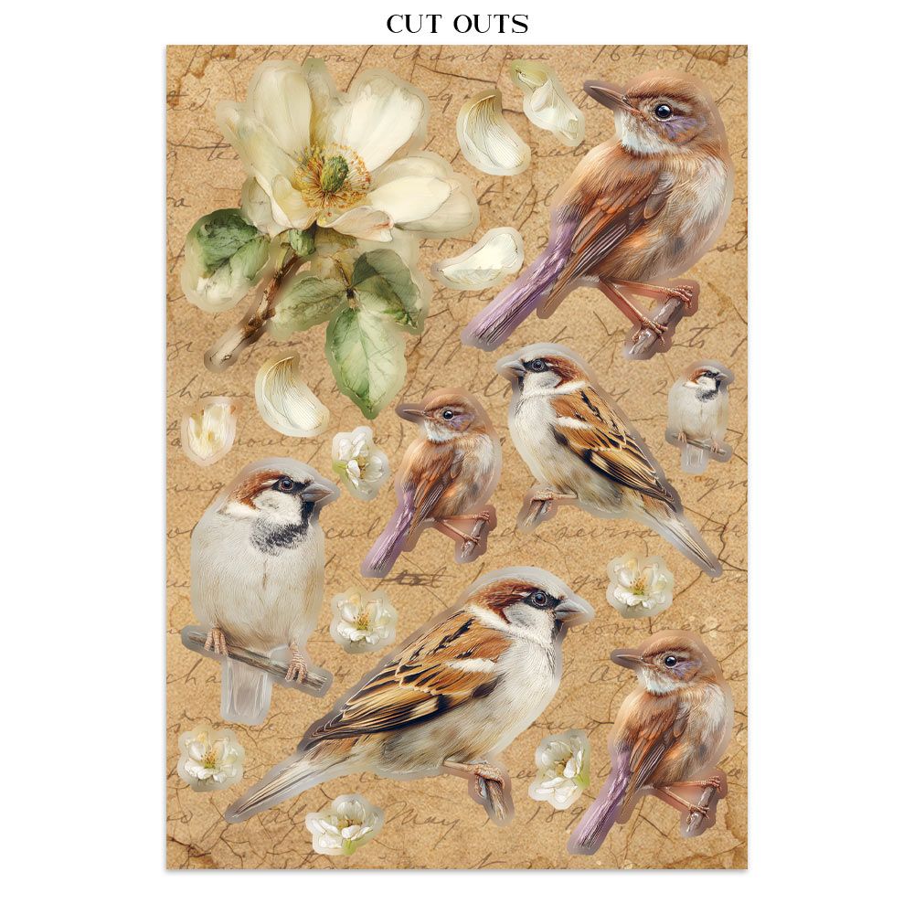 Illustration of birds and flowers on a textured background with 'CUT OUTS' text at the top.