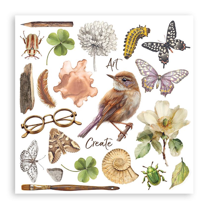 Illustrated collage of nature-themed items including a bird, flowers, insects, and tools on a white background.